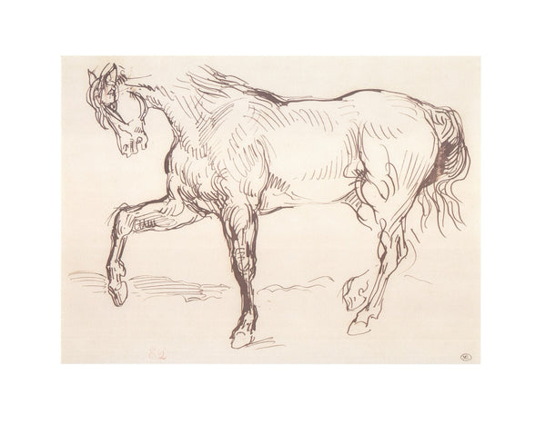 Cheval by Eugene Delacroix - 16 X 20 Inches (Art Print)