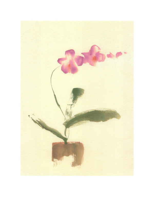 Orchidee, 2002 by Lucile Prache - 16 X 20 Inches (Art Print)