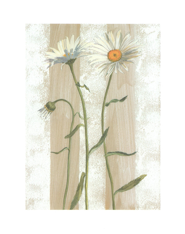 Marguerites, 2002 by Valerie Roy - 16 X 20 Inches (Art Print)