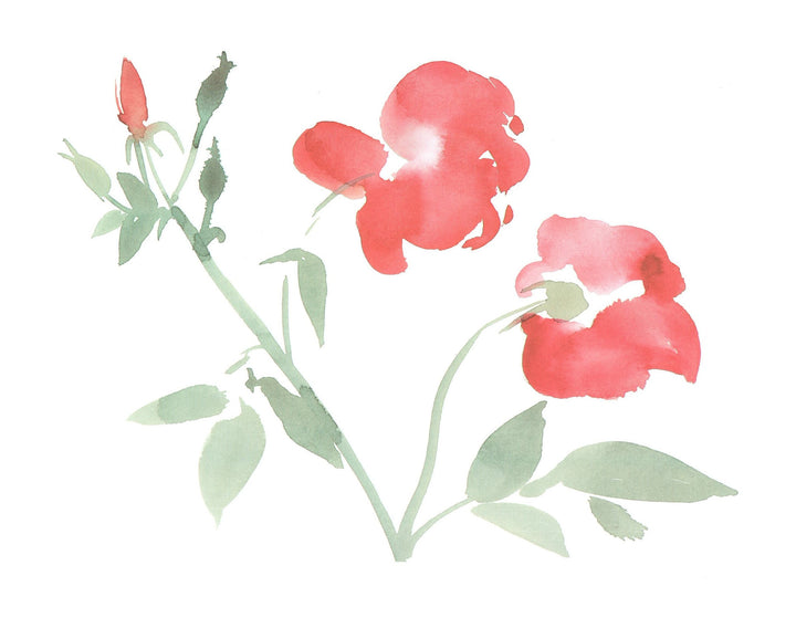 Roses, 2002 by Aurore de la Morinerie - 16 X 20 Inches (Art Print)