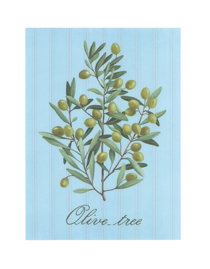 Olive Tree by Jerome Thilly - 16 X 20 Inches (Art Print)