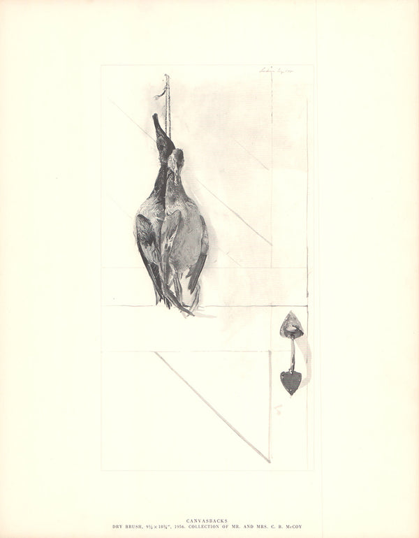 Canvasbacks, 1956 by Andrew Wyeth- 13 X 17 Inches (Fine Art Print)
