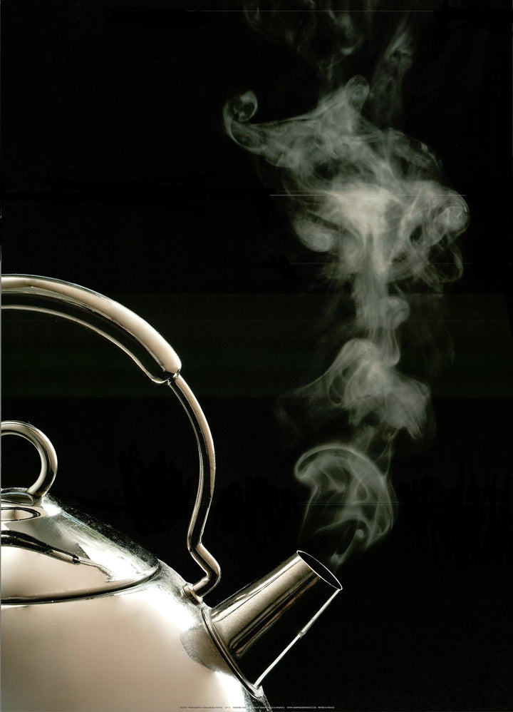 Tea Pot by Aurora Photos - 20 X 28 Inches (Art Print)