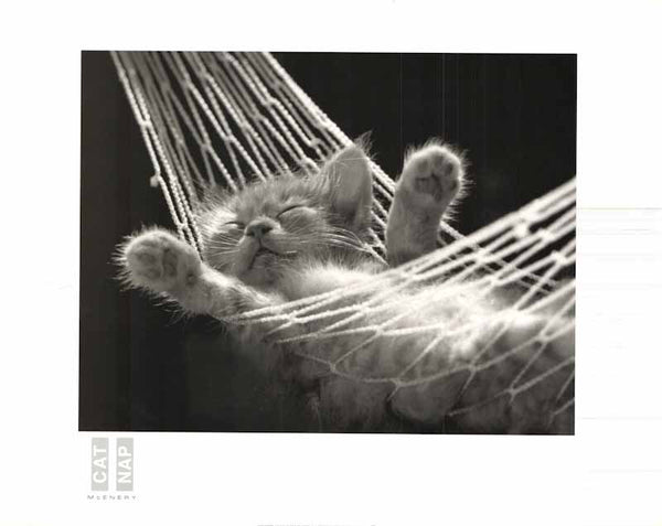 Cat Nap II by David McEnery - 22 X 28 Inches (Art Print)