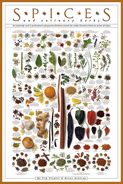 Spices and Culinary Herbs by Ziegler/Keating - 24 X 36 Inches (Art Print)
