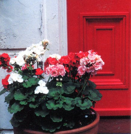 London England, 1991 by Ruth Beker - 3 X 3 Inches (Greeting Card)