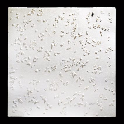 Pioggia di carta, 2007