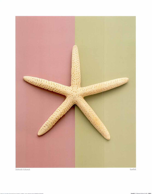 Starfish by Deborah Schenck - 16 X 20 Inches (Art Print)