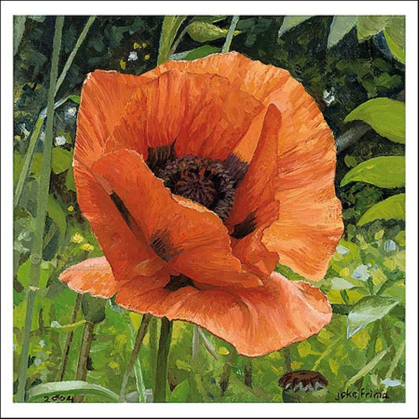 Poppies by Joke Frima - 6 X 6" (Greeting Card)