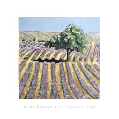 Tree in Lavender Field by Lydia Bauman - 16 X 16" - Fine Art Posters.