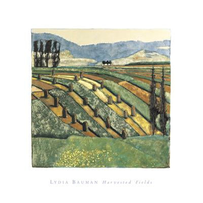 Harvested Fields by Lydia Bauman - 16 X 16 Inches (Art Print)