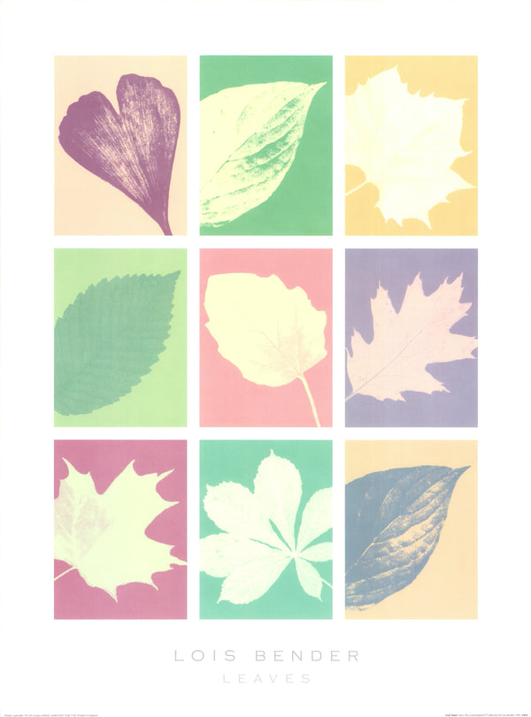Leaf Tones by Lois Bender - 24 X 32 Inches (Art Print)