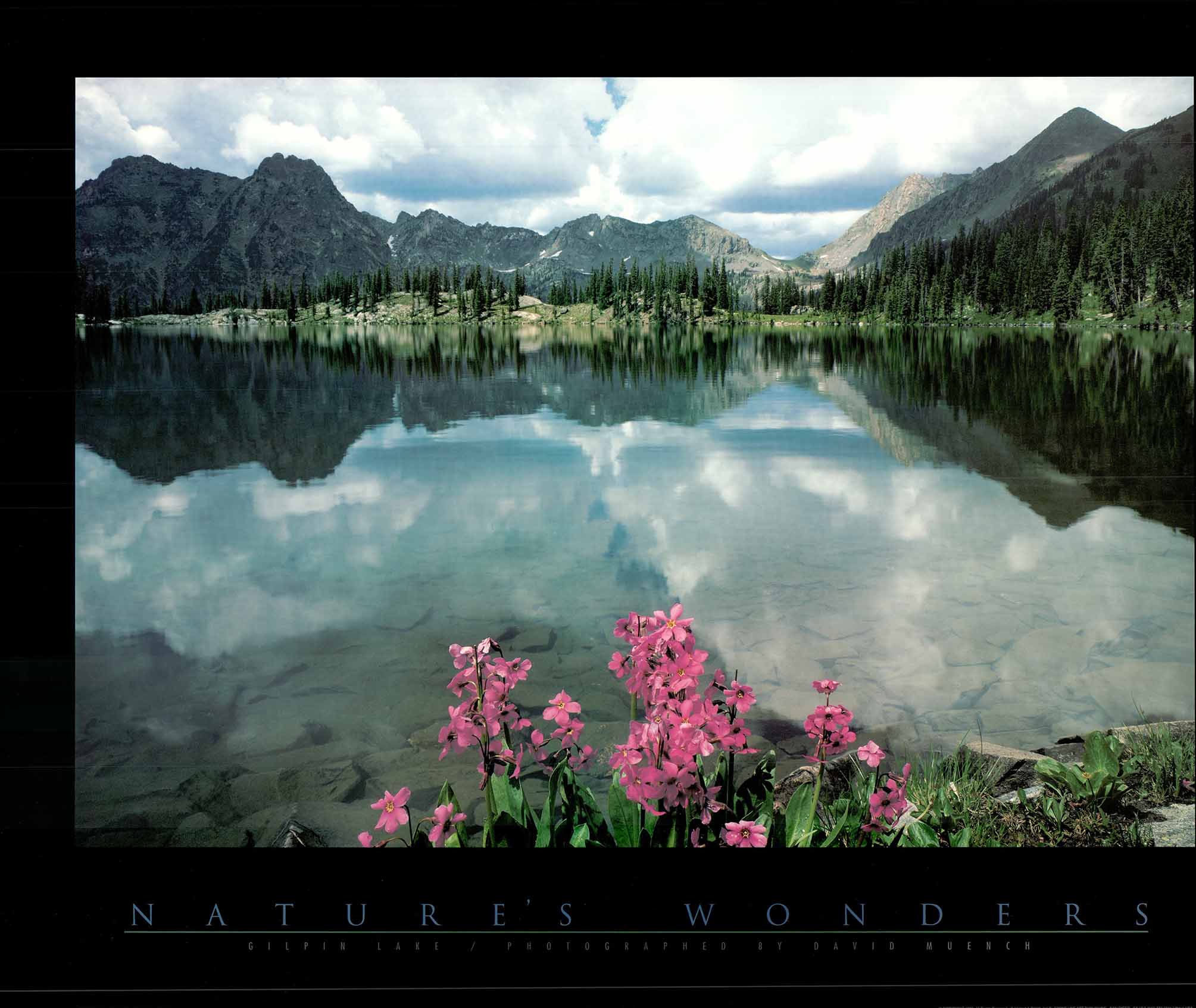 Gilpin Lake by David Muench - 24 X 30 Inches (Art Print) – Artistica ...
