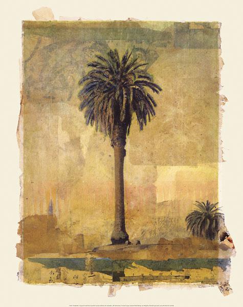Palm Study #1 by Donald Farnsworth - 19 X 24" - Fine Art Poster.