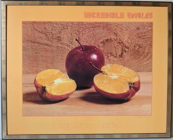 Pomme et oranges par Edward Pardee – 26 x 32 pouces (giclée encadrée sur Masonite prête à accrocher)