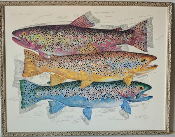 Three Brown Trout, 1993 by Eileen Klatt - 24 X 30 Inches (Framed Giclee on Masonite Ready to Hang)
