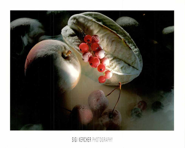 Groseille rouge froide par Sigi Kercher - 16 X 20 pouces - Affiche d'art.