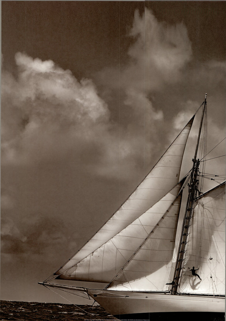 Sépia Sails II by Cory Silken - 18 X 28 - Fine Art Poster.