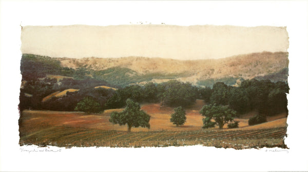 Vineyard and Oak II, 2001 par Natalie Levine - 22 X 39 pouces - Affiche d'art.
