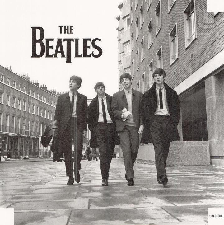 The Beatles - 20 X 20 Inches (Canvas Roll or Stretched ready to hang)