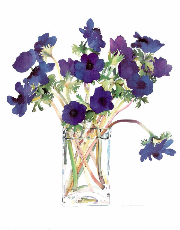 Purple Anemones by Claire Winteringham - 16 X 20" - Fine Art Posters.