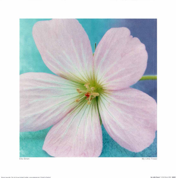 Ma petite fleur par Ella Doran - 16 X 16 pouces (impression d’art)