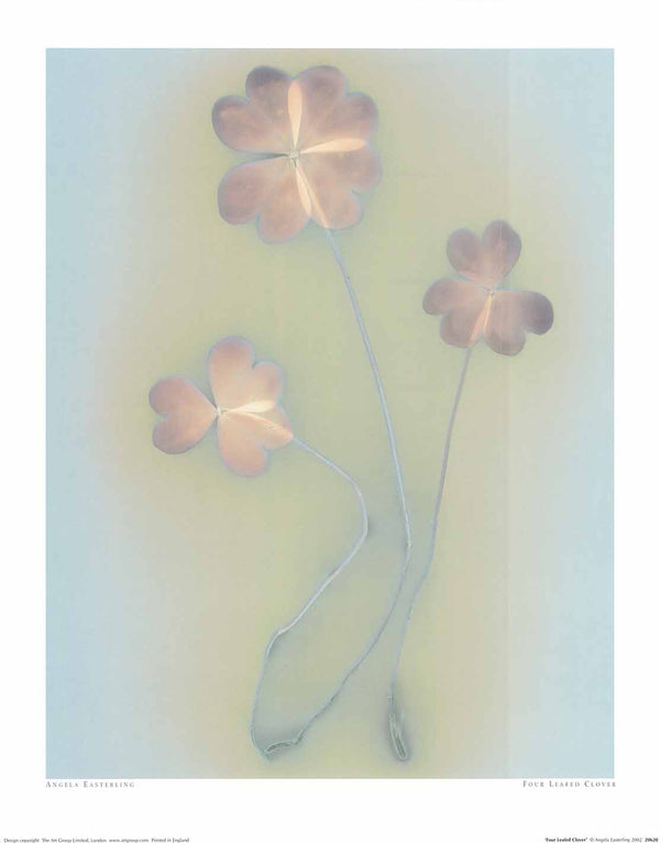 Trèfle à quatre feuilles d'Angela Easterling - 16 X 20" - Affiches d'art.