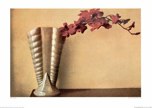 Grey Vase, Vanda Orchid, 1980 by Sheila Metzner - 20 X 28 Inches (Art Print)