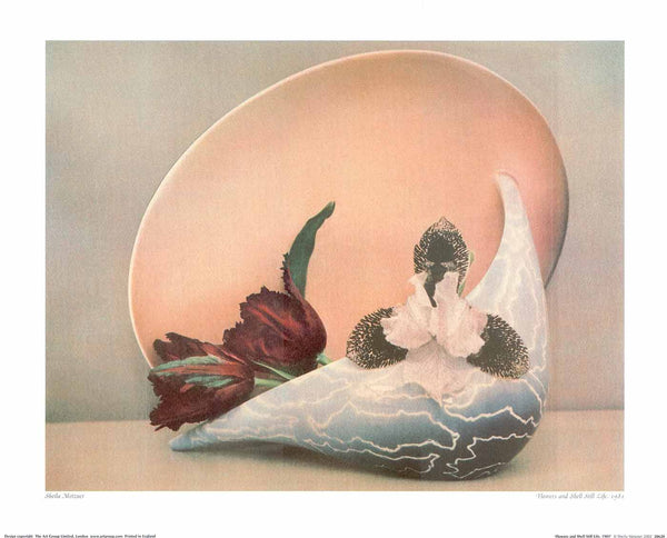 Fleurs et coquillages nature morte, 1981 par Sheila Metzner - 16 X 20" - Affiches d'art.