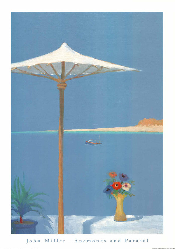 Anenones and Parasol by John Miller - 20 X 28 Inches (Art Print)