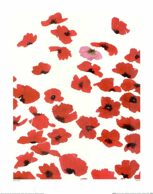Poppies by Jenny Frean - 16 X 20" - Fine Art Posters.