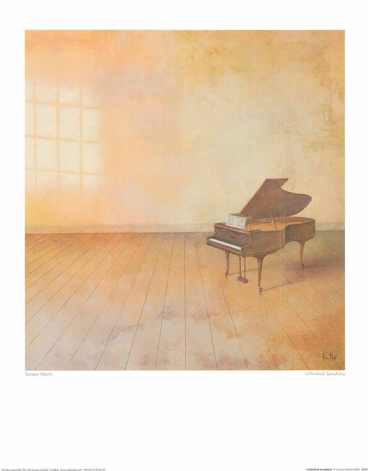 Unfinished Symphony by Tomasa Martin - 16 X 20" - Fine Art Poster.