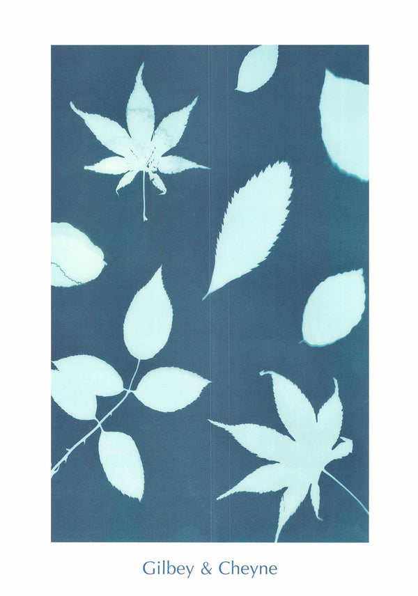 Garden Leaves by Louise Gilbey - 20X 28" - Fine Art Poster.