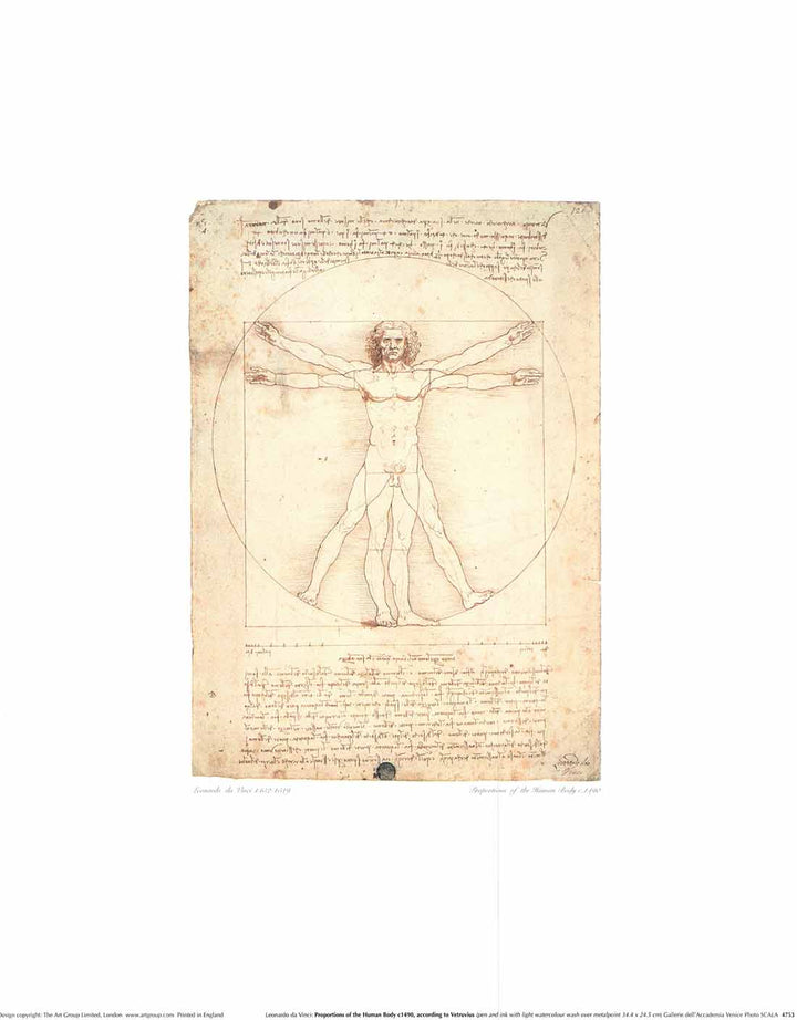 Proportions of the Human Body, 1490 by Leonardo Da Vinci - 16 X 20" - Fine Art Poster