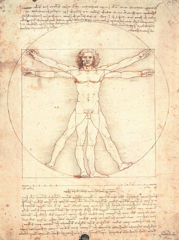 Proportions of the Human Body, 1490 by Leonardo Da Vinci - 15 X 20" - Fine Art Poster