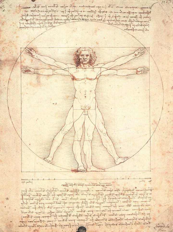 leonardo da vinci human body drawings