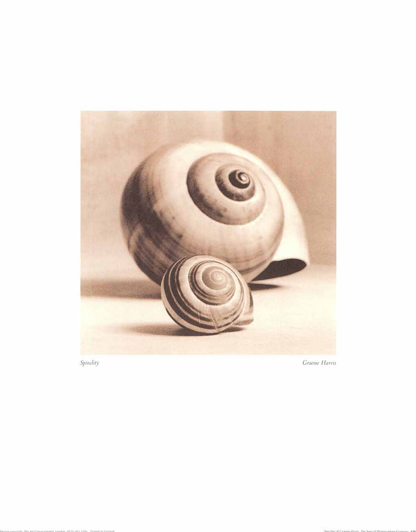 Spiralité de Graeme Harris - 16 X 20" - Affiches d'art.