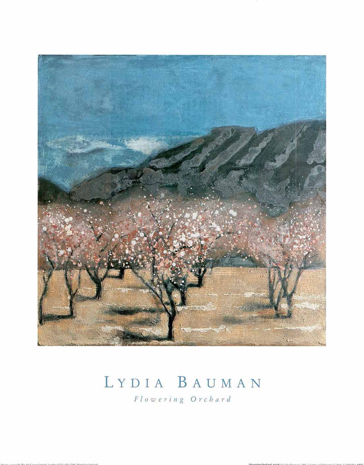 Flowering Orchard, Spain by Lydia Bauman - 16 X 20" - Fine Art Poster.