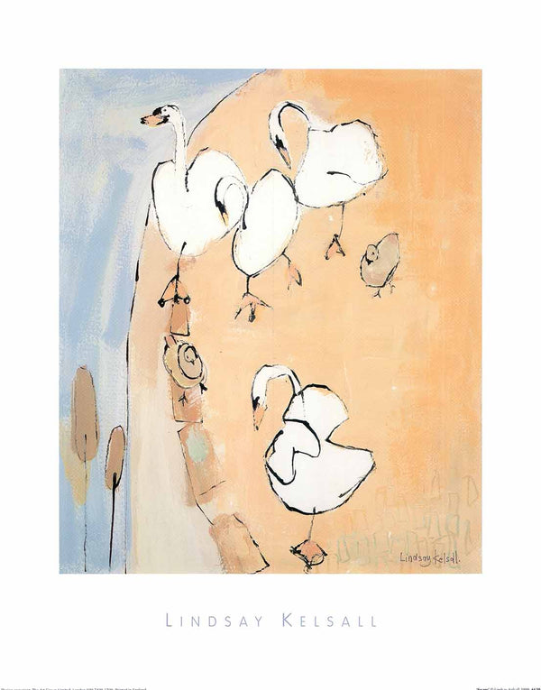 Swans by Lindsay Kelsall - 16 X 20 Inches (Art Print)