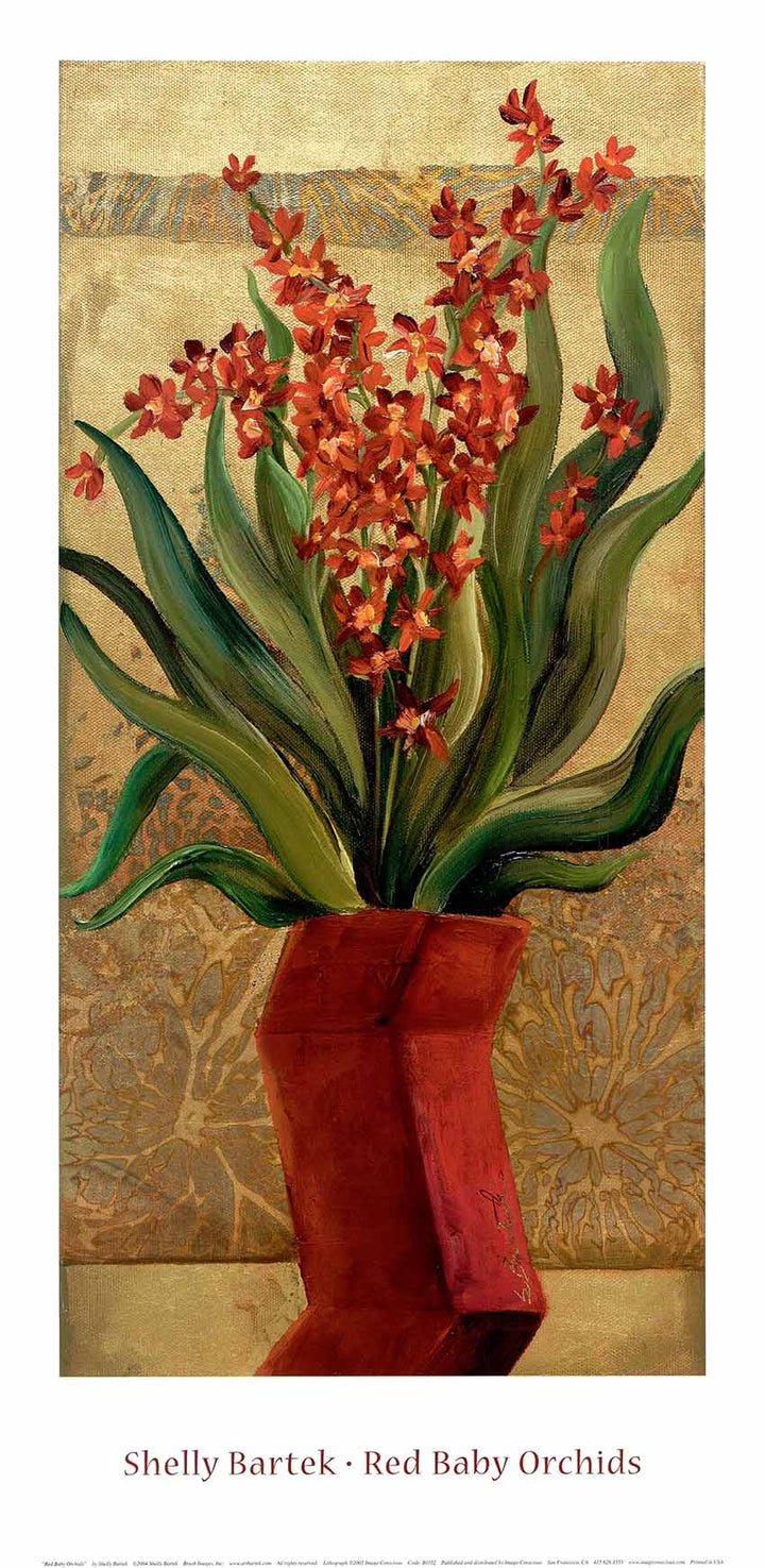 Red Baby Orchids by Shelly Bartek - 12 X 24 Inches (Poster)