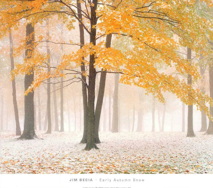 Early Autumn Snow by Jim Becia - 26 X 30" - Fine Art Poster.