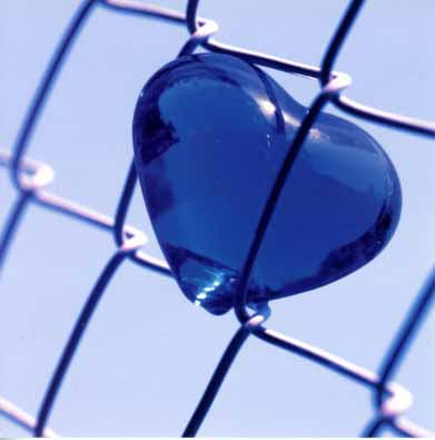 Blue Heart by Masaaki Toyoura - 6 X 6 Inches (Greeting Card)