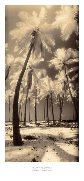 Palm Shadows I by Susan Friedman - 18 X 39" - Fine Art Poster.