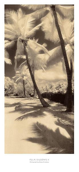 Palm Shadows II by Susan Friedman - 18 X 39" - Fine Art Poster.