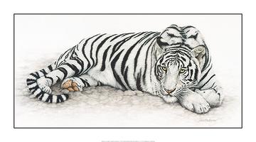 Siberian Tiger by Jan Henderson - 20 X 36" - Fine Art Poster.