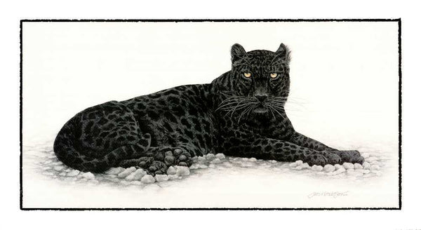 Black Panther by Jan Henderson - 20 X 36" - Fine Art Poster.