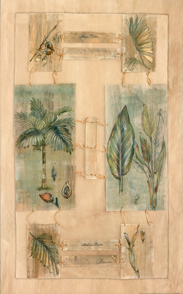 Areca Palm, 2000 by Paul Hargittai - 20 X 32 Inches (Art Print)