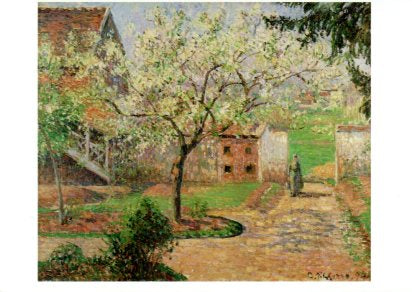 Blooming Plumtree in Eragny, 1891 by Pissarro - 4 X 6 Inches(Postcard)