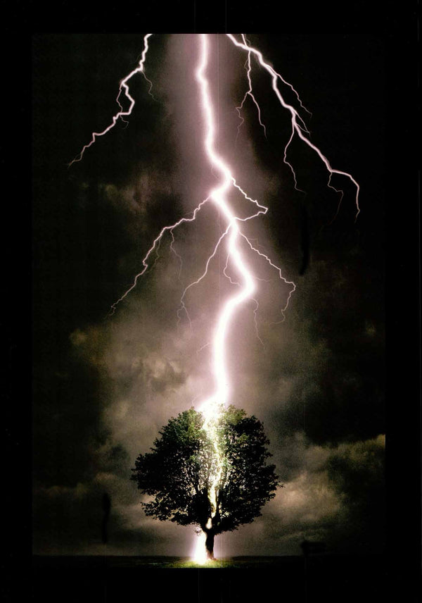 Lightning by Allan Davey - 20 X 28 Inches (Poster)