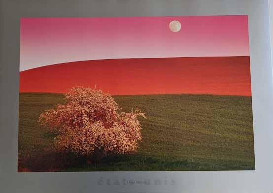 Palouse Hills, USA by Daryl Benson - 20 X 28 Inches (Poster)-1
